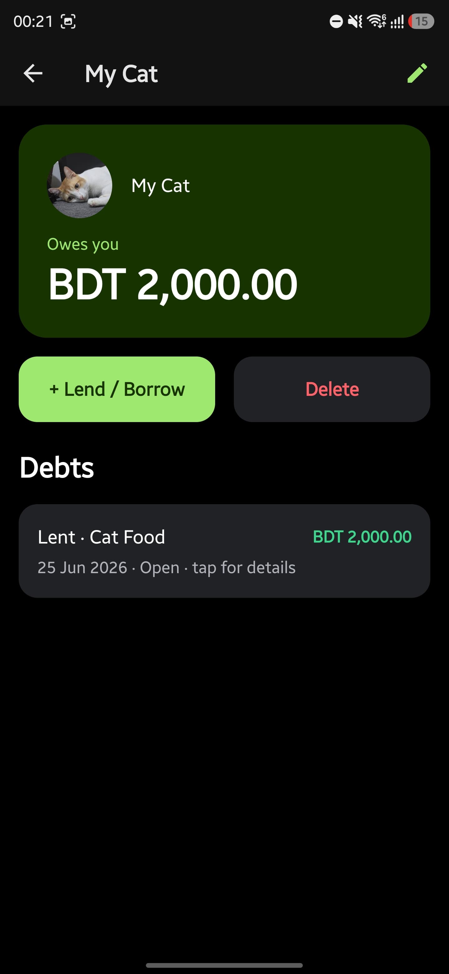 FinX person detail with the amount owed, a Lend / Borrow action, and a list of open debts